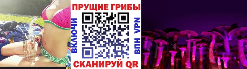 Псилоцибиновые грибы Cubensis купить наркотики сайты Усмань